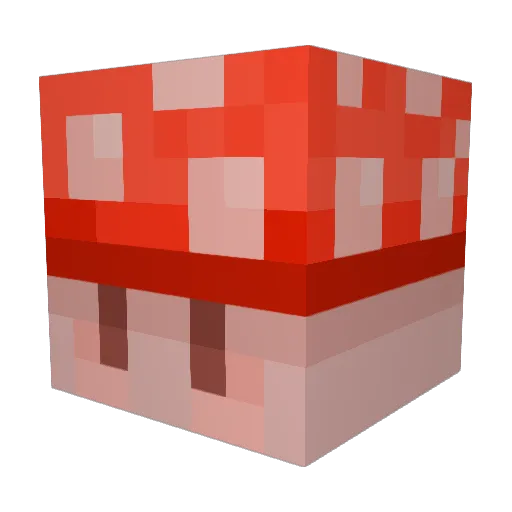 turtleoak Minecraft avatar head, 3D render