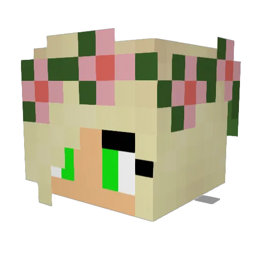 turtlerox11 Minecraft avatar head, 3D render