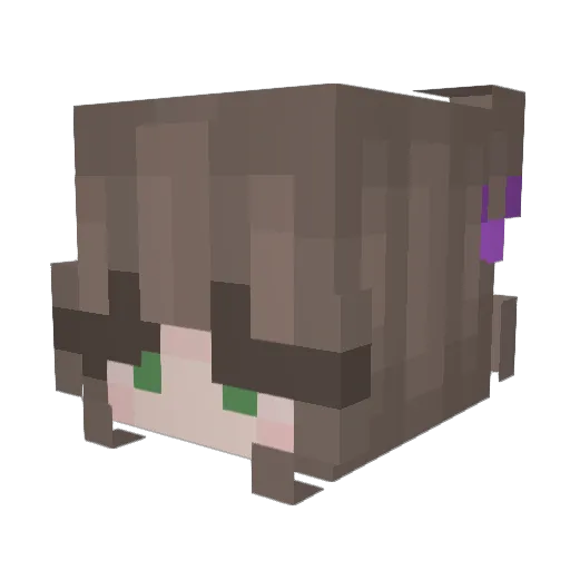 turtles1013 Minecraft avatar head, 3D render