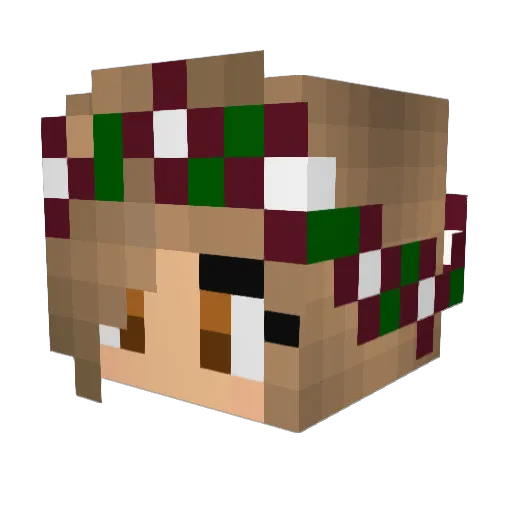 turtles55 Minecraft avatar head, 3D render