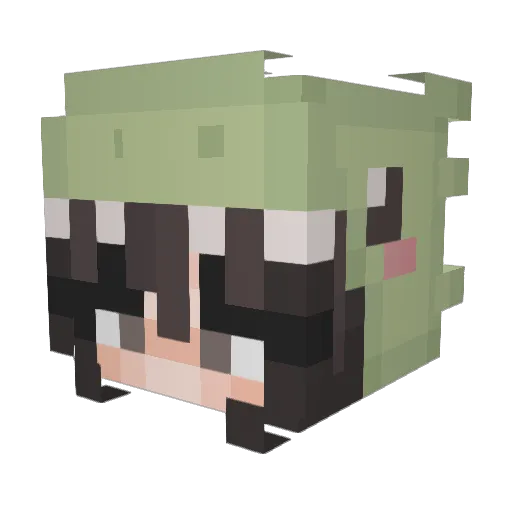 turtlesRus13 Minecraft avatar head, 3D render