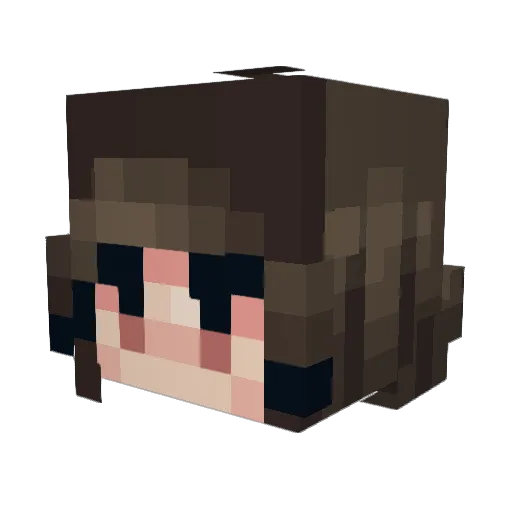 turtles_ff Minecraft avatar head, 3D render