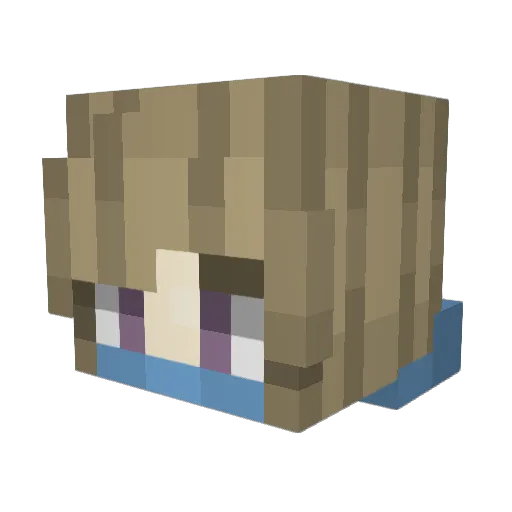 turtleshxh Minecraft avatar head, 3D render