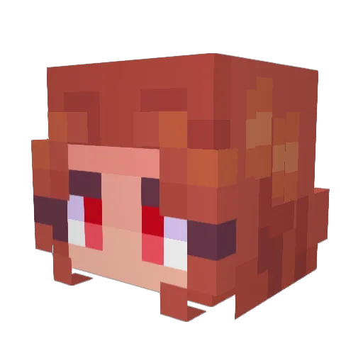 turtlethepat Minecraft avatar head, 3D render