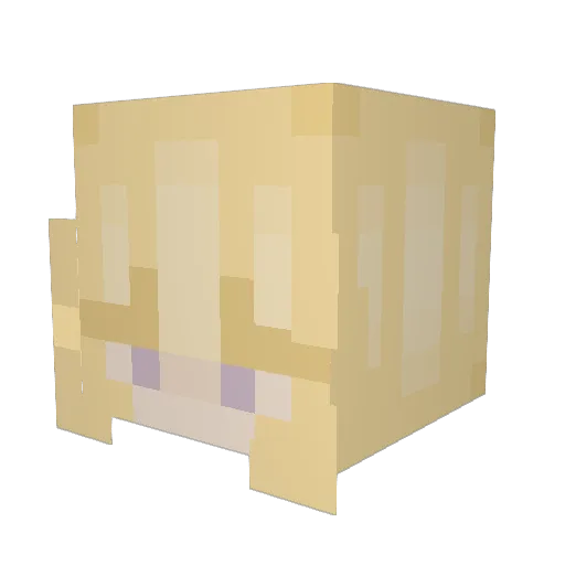 turtleturtle120 Minecraft avatar head, 3D render