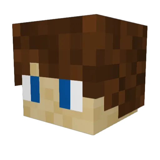 turtleturtle260 Minecraft avatar head, 3D render