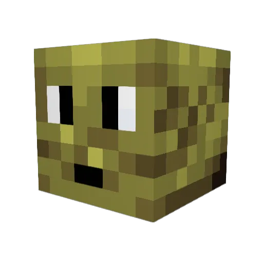 turtlewood7607 Minecraft avatar head, 3D render
