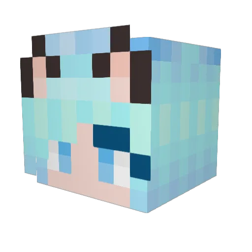 turtleycute14 Minecraft avatar head, 3D render