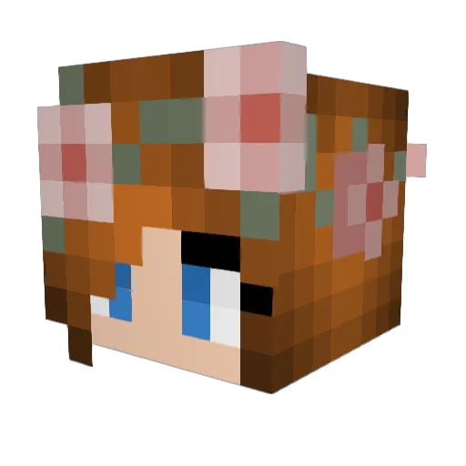 turtule2 Minecraft avatar head, 3D render