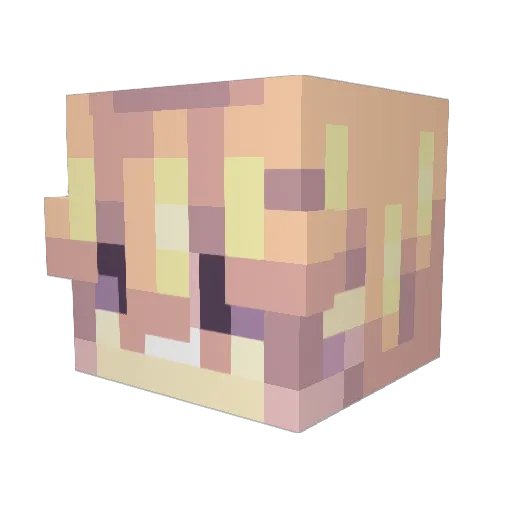 turtwig666 Minecraft avatar head, 3D render