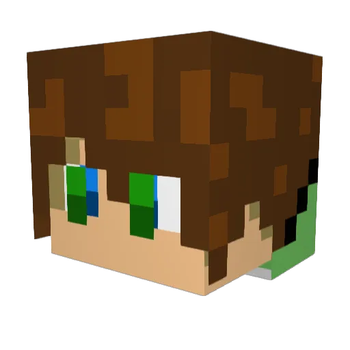 turtwigfan101 Minecraft avatar head, 3D render