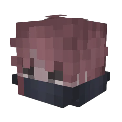 tusd Minecraft avatar head, 3D render