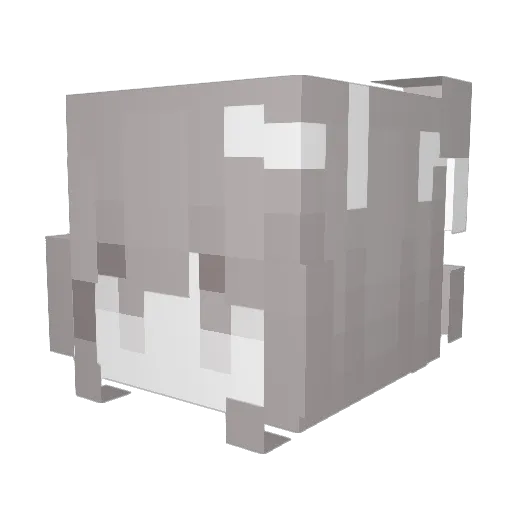 tusiia Minecraft avatar head, 3D render