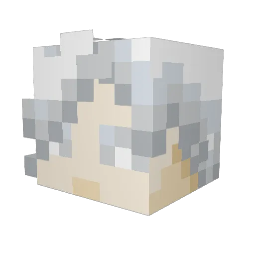 tuskiri Minecraft avatar head, 3D render