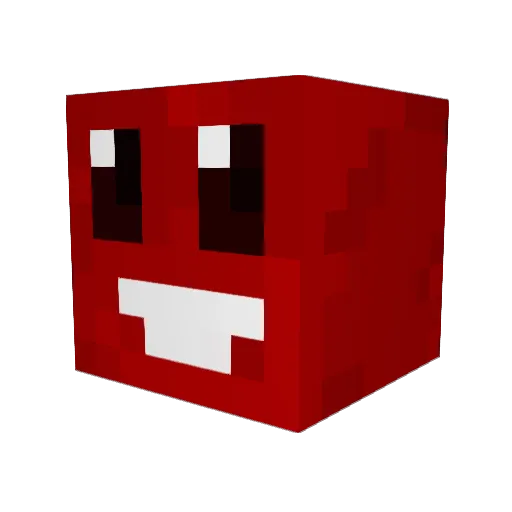 tuster5504 Minecraft avatar head, 3D render