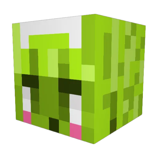 tutsmeowasf Minecraft avatar head, 3D render