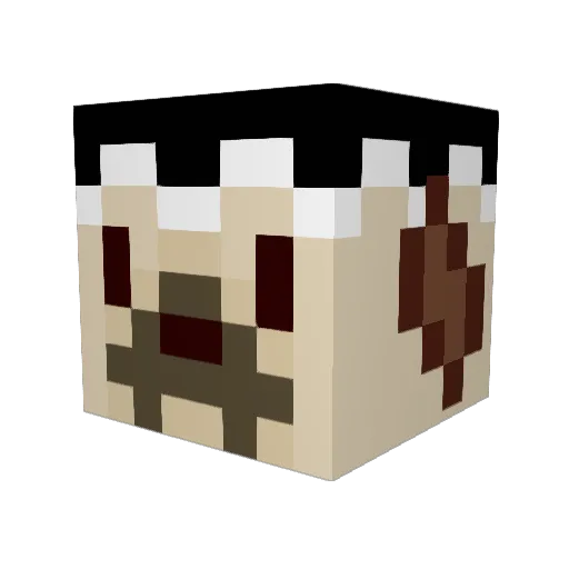 tuttifrutt3 Minecraft avatar head, 3D render