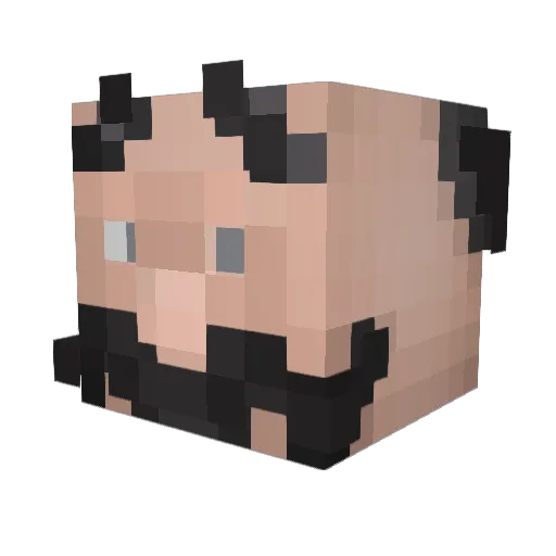 tutvasya Minecraft avatar head, 3D render