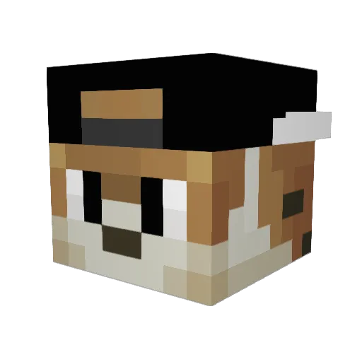 tutzipat Minecraft avatar head, 3D render