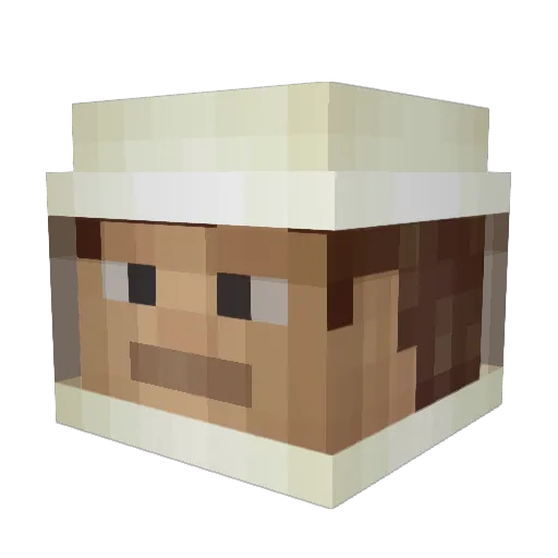 tuurd1111 Minecraft avatar head, 3D render