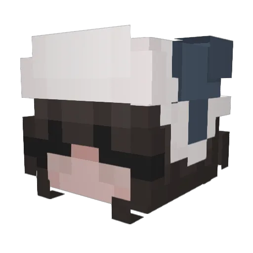 tuvaluvap Minecraft avatar head, 3D render
