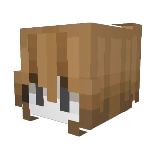 tuvasrienfaire Minecraft avatar head, 3D render