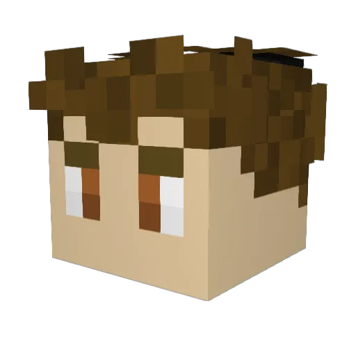tuw4 Minecraft avatar head, 3D render