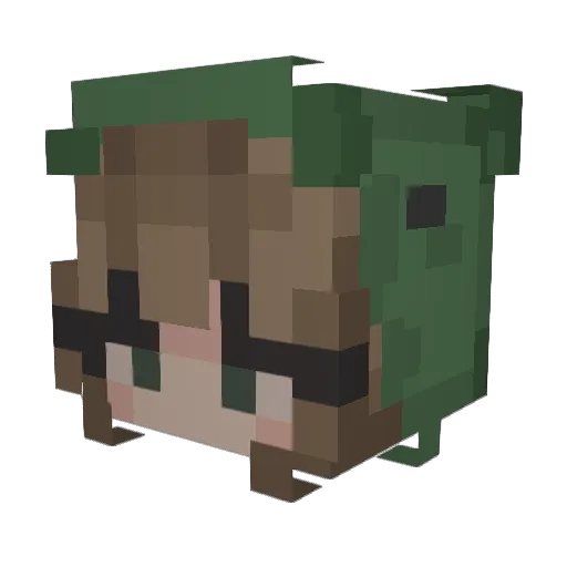 tuwrtles Minecraft avatar head, 3D render