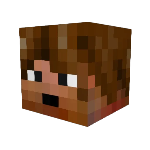 tuxedocats Minecraft avatar head, 3D render
