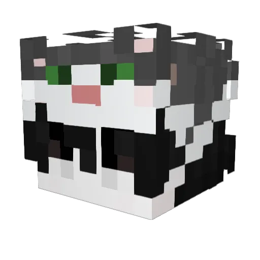 tuxing79 Minecraft avatar head, 3D render