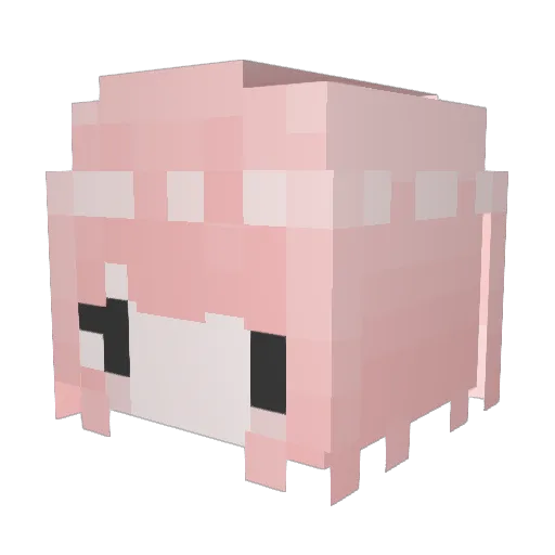 tuyunon Minecraft avatar head, 3D render
