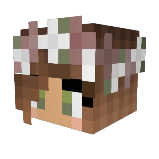 tvdaddicts Minecraft avatar head, 3D render
