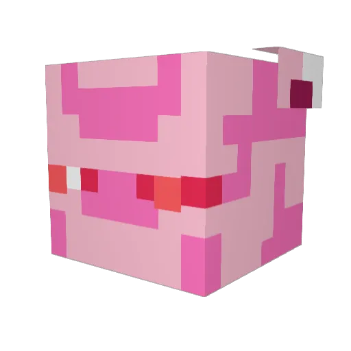 tvray1 Minecraft avatar head, 3D render