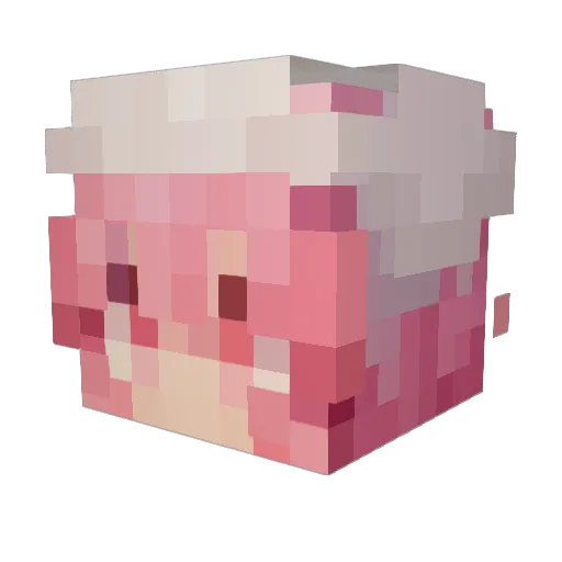 tvu28 Minecraft avatar head, 3D render