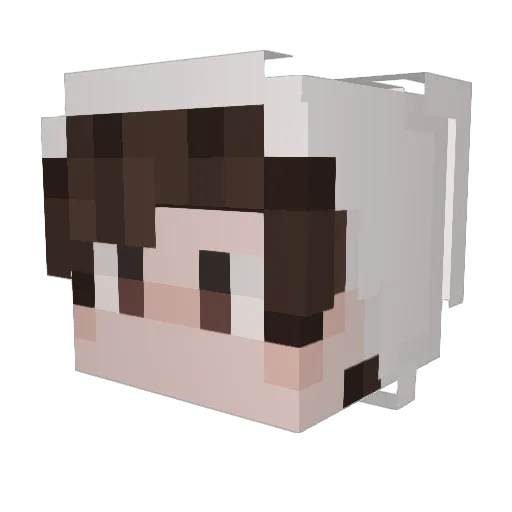 tw1ddledee Minecraft avatar head, 3D render