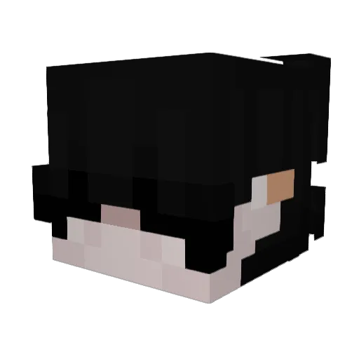 tw1nkl3 Minecraft avatar head, 3D render