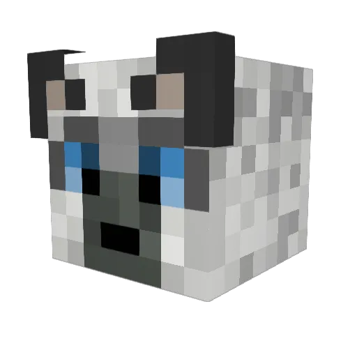 twan45 Minecraft avatar head, 3D render