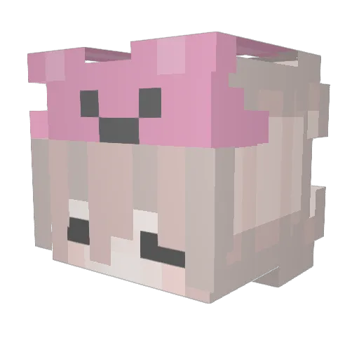 twannosaurus Minecraft avatar head, 3D render