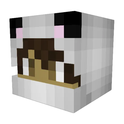 twannyboy16 Minecraft avatar head, 3D render