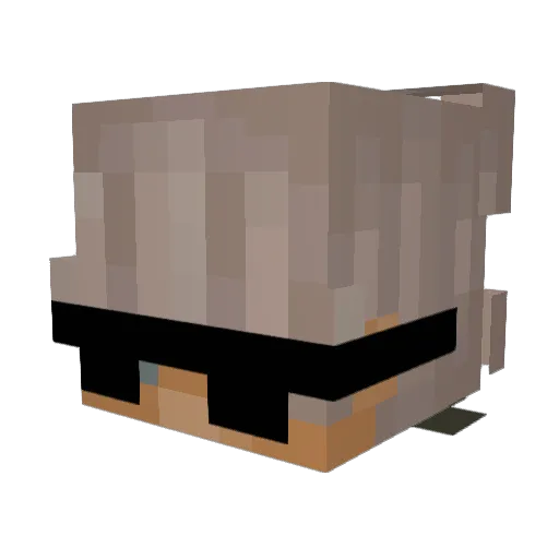 twazok Minecraft avatar head, 3D render