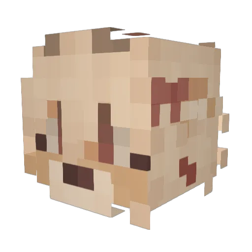 twbt Minecraft avatar head, 3D render