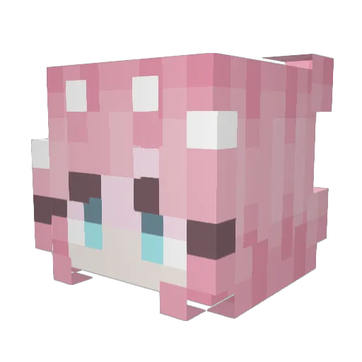 twc4ever Minecraft avatar head, 3D render