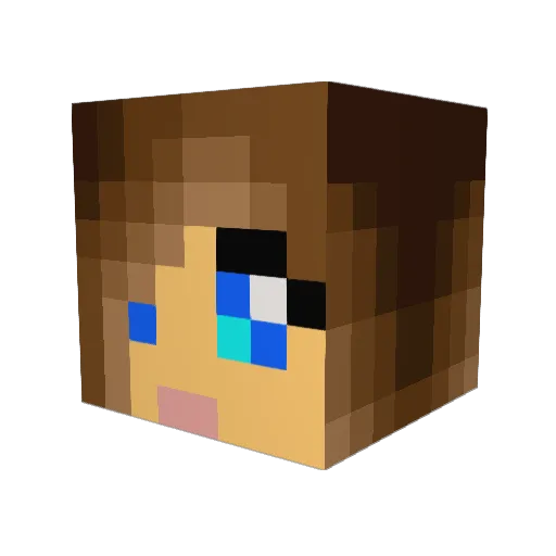 tweeedy320 Minecraft avatar head, 3D render