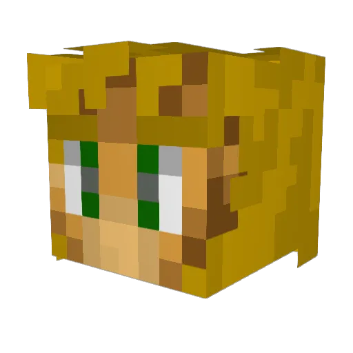 tweeeg Minecraft avatar head, 3D render