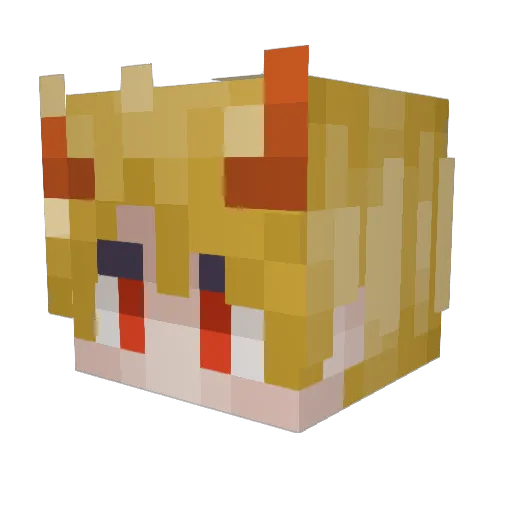 tweekcoffe23 Minecraft avatar head, 3D render