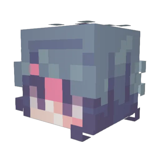 tweeters69 Minecraft avatar head, 3D render