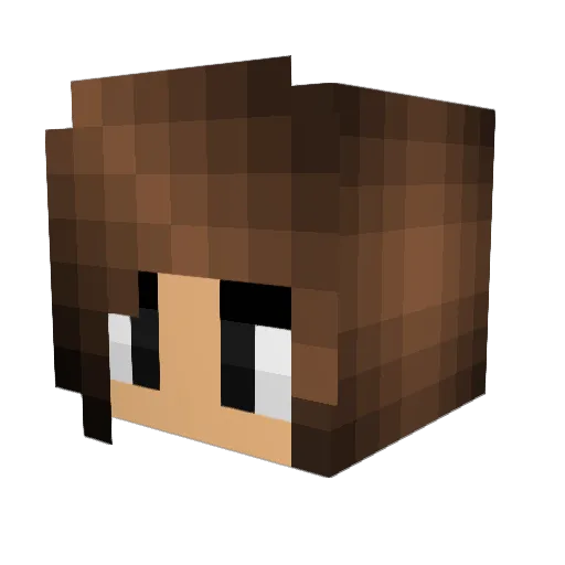 tweetyb Minecraft avatar head, 3D render