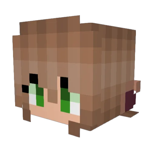 tweilight Minecraft avatar head, 3D render