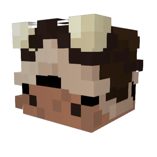 twerk4titotroy Minecraft avatar head, 3D render