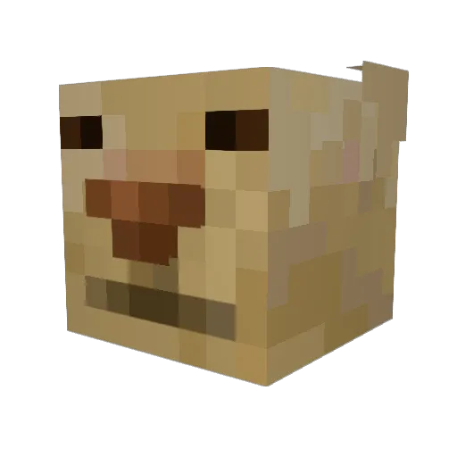 twerknugget Minecraft avatar head, 3D render